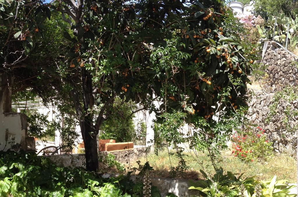 Casa Del Caminero En Tejeda Guest House Eksteriør bilde